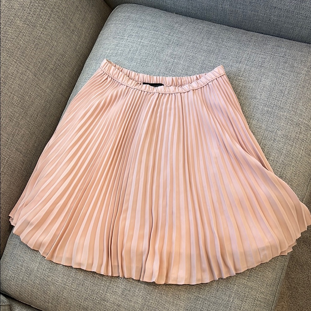 Banana Republic Blush Pleated Mini Skirt